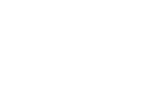 Logo Maestria