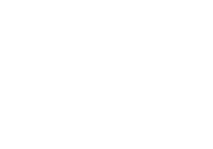 Logo Plus Energy ByPass Max Protein