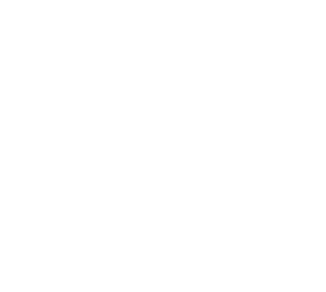 Logo ´Top Soy